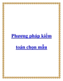 Phương pháp kiểm toán chọn mẫu