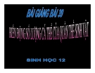 Bài giảng Sinh học 12 bài 39: Biến động số lượng cá thể của quần thể sinh vật