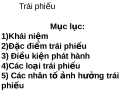 Quản trị tài chính- Trái phiếu