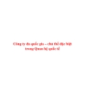 Tiểu luận:Công ty đa quốc gia – chủ thể đặc biệt trong Quan hệ quốc tế