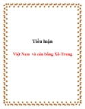 Tiểu luận:Việt Nam và cân bằng Xô-Trung