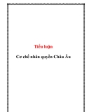 Tiểu luận: Cơ chế nhân quyền Châu Âu