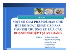 Tiểu luận:Một số giải pháp để hạn chế rủi ro xuất khẩu cá Basa vào thị trường EU của các doanh nghiệp tại An Giang