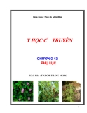 Y học cổ truyền: Chương 13: Phụ lục - Nguyễn Khắc Bảo