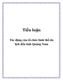 Tiểu luận: Tác động của tổ chức lãnh thổ du lịch đến tỉnh Quảng Nam