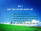 Bài 3: Đào tạo nguồn nhân lực