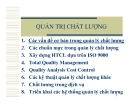 Quản trị chất lượng- Các vấn đề cơ bản trong quản lý chất lượng 