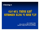 Bài giảng Vi sinh vật môi trường (TS. Lê Quốc Tuấn) - Chương 6