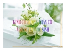Bài giảng Sinh học 11 bài 34: Sinh trưởng ở thực vật