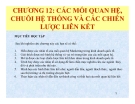 Chương 12: Các mối quan hệ chuỗi hệ thống và các chiến lược liên kết