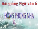 Bài giảng Ngữ văn 6 bài 31: Động Phong Nha