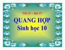 Bài giảng Sinh học 10 bài 17: Quang hợp - Sinh học 10