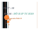 Bài giảng Sinh học 10 bài 16: Hô hấp tế bào