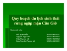 Tiểu luận: Quy hoạch du lịch sinh thái rừng ngập mặn Cần Giờ