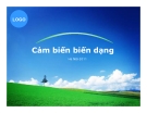 Cảm biến biến dạng