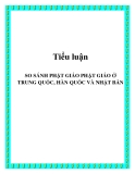 Tiểu luận: So sánh phật giáo phật giáo ở Trung Quốc, Hàn Quốc và Nhật Bản