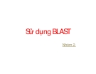 Tiểu luận: Sử dụng BLAST