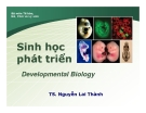 Sinh học phát triển (TS Nguyễn Lai Thành) - Chương 4.3