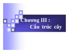 Chương III: Cấu trúc cây