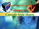 Ngôn ngữ đánh dấu mở rộng -  Chương 04 Cascade Style Sheets