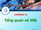 Ngôn ngữ đánh dấu mở rộng - Tổng quan về XML