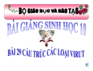 Bài giảng Sinh học 10 bài 27: Cấu trúc các loại virut