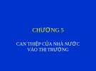 Kinh tế học kinh doanh - Chương 5 Can thiệp cùa nhà nước với thị trường