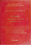 Đề tài: Từ điển thương mại Việt - Hàn