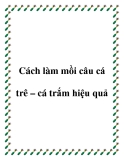 Cách làm mồi câu cá trê – cá trắm hiệu quả