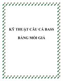 Kỹ thuật câu cá Bass bằng mồi giả