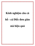 Kinh nghiệm câu cá hồ - cá Diếc đơn giản mà hiệu quả