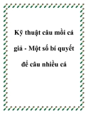 Kỹ thuật câu mồi cá giả - Một số bí quyết để câu nhiều cá