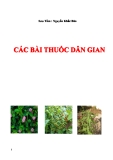 Các bài thuốc dân gian - Nguyễn Khắc Bảo