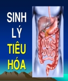 Trắc nghiệm sinh lý: Sinh lý học tiêu hóa