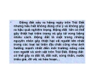 Hậu quả và những nguy cơ tiềm ẩn của động đất