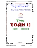 Tuyển tập bài toán đại số và hình học 11