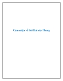 Văn mẫu lớp 9: "Cảm nhận về đoạn trích Hai cây Phong"