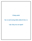 Văn mẫu lớp 9: Chứng minh bảo vệ môi trường thiên nhiên là bảo vệ cuộc sống của con người