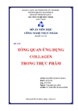 Đồ án Công nghệ thực phẩm: Tổng quan ứng dụng collagen trong thực phẩm