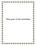 Tổng quan về Sms marketing