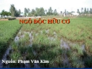 Bài giảng ngộ độc hữu cơ