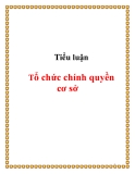 Tiểu luận: Tổ chức chính quyền cơ sở