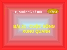 Slide bài Cuộc sống xung quanh - Tự Nhiên Xã Hội 2 - GV.H.T.Minh