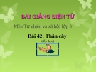 Slide bài Thân cây (TT) - Tự Nhiên Xã Hội 3 - GV.H.T.Minh