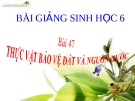 Bài giảng Sinh học 6 bài 47: Thực vật bảo vệ đất và nguồn nước