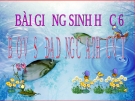 Bài giảng Sinh học 6 bài 49: Bảo vệ sự đa dạng của thực vật