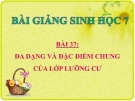 Bài giảng Sinh học 7 bài 37: Đa dạng và đặc điểm chung của lớp lưỡng cư