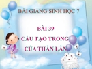 Bài giảng Sinh học 7 bài 39: Cấu tạo trong của thằn lằn