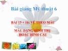 Bài giảng Mỹ Thuật 6 bài 15: Mẫu dạng hình trụ và cầu