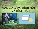 Bài giảng Mẫu có dạng hình hộp và hình cầu - Mỹ thuật 6 - GV.N.Hồng Nhung